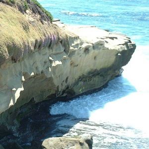 Meet your Posher, Brad